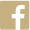 FB-icon